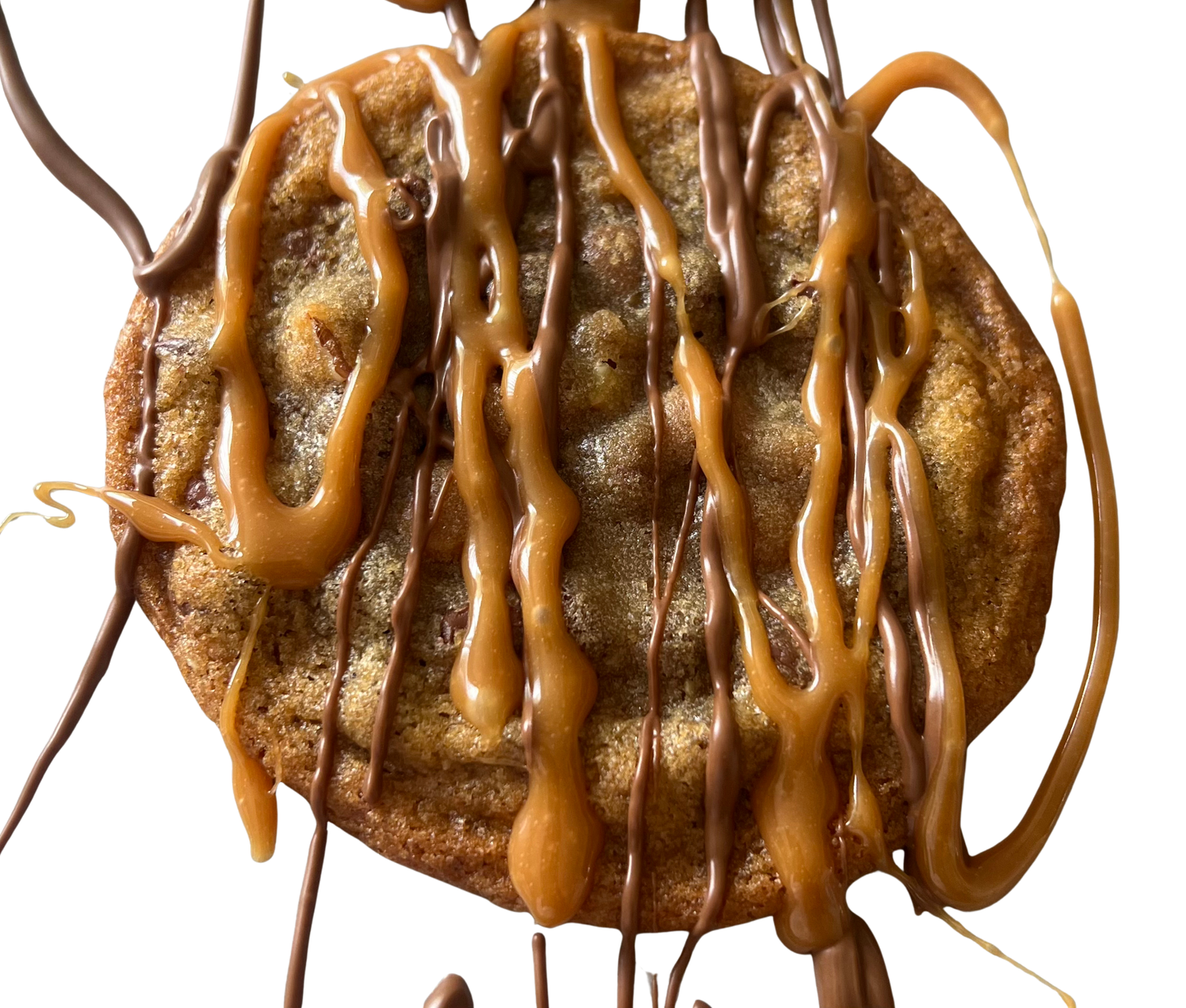 Turtle Cookie